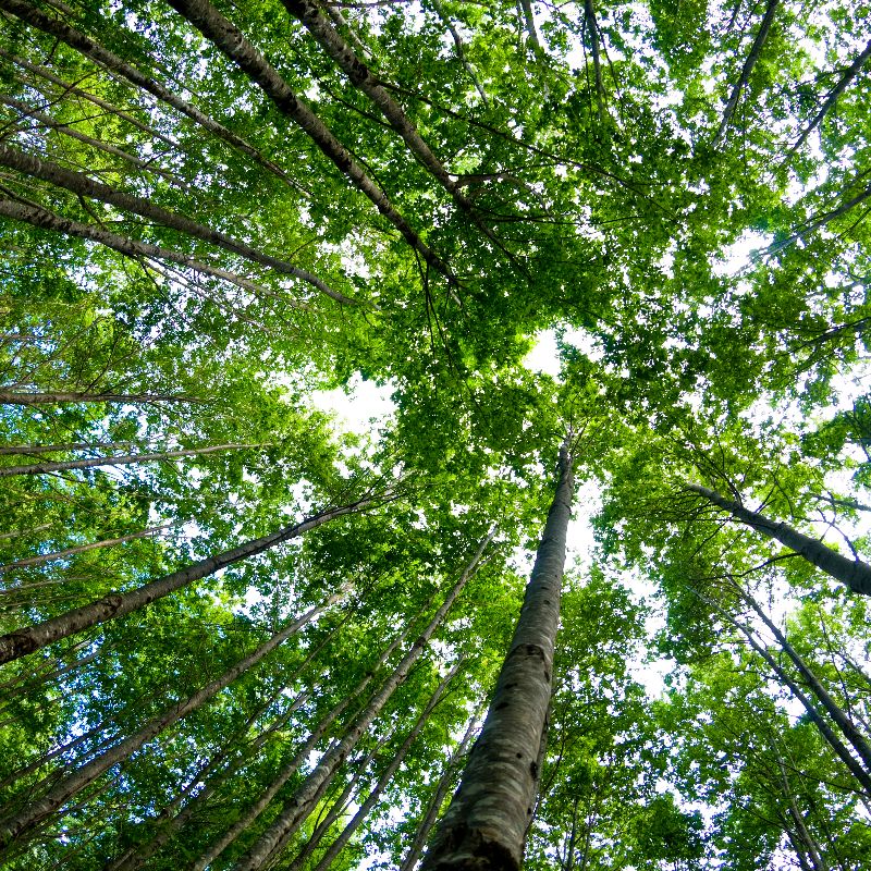 2_GettyImages-883174018