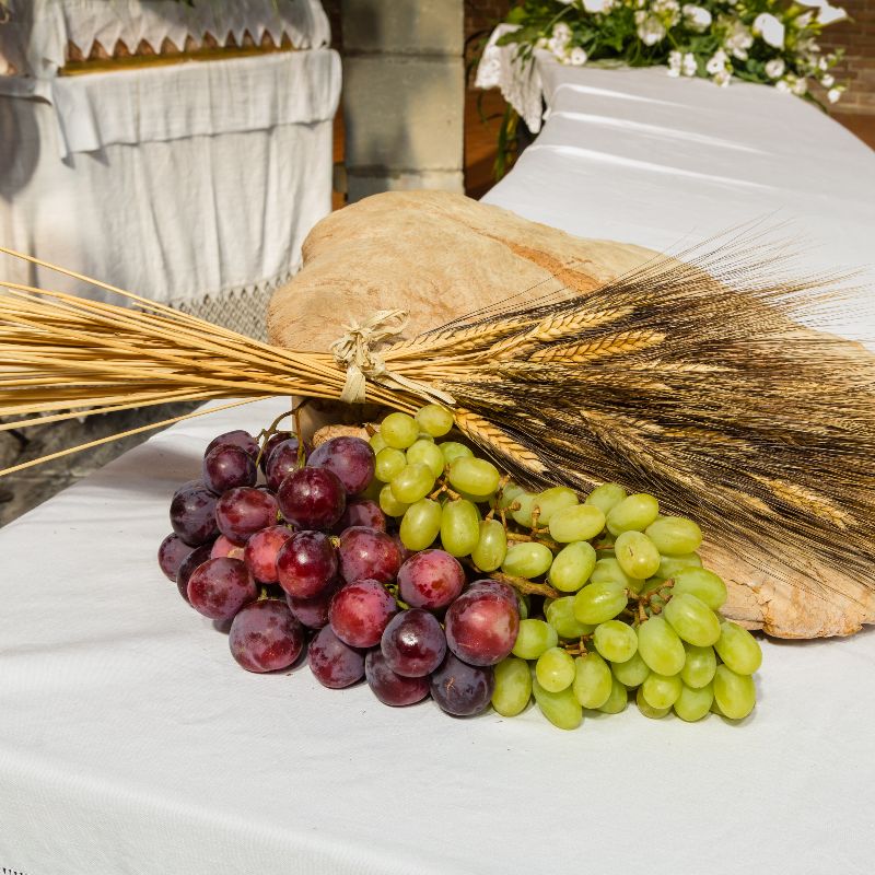 3_GettyImages-477307786